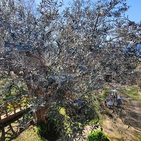 Dimora Acqua Del Fico 3*