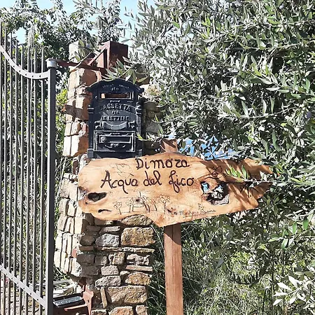Dimora Acqua Del Fico Castellabate