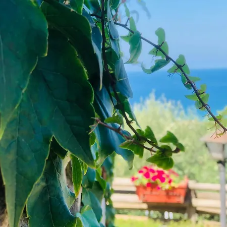 Dimora Acqua Del Fico Bed & Breakfast