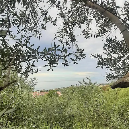Bed and Breakfast Dimora Acqua Del Fico 3*