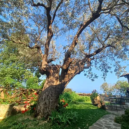 Dimora Acqua Del Fico 3*