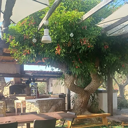 Dimora Acqua Del Fico Bed and Breakfast 3*